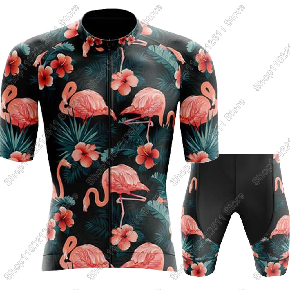 Maillot de cyclisme Flamingo p - Summer Clothing Sale Men avis et prix
